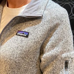 CHEAP Patagonia Grey Fleece-Lined Size M